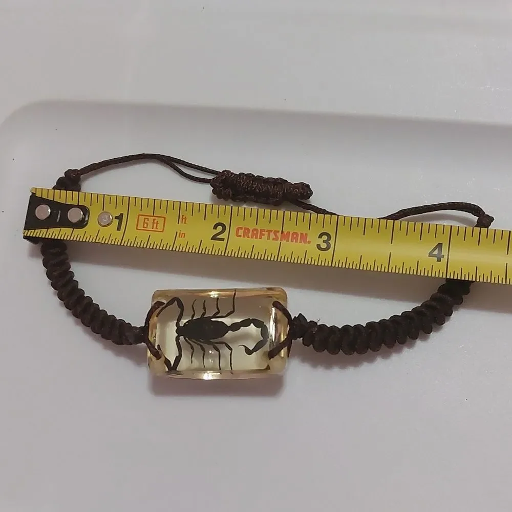Preserved Real Black Scorpion Brown Adjustable Cord Bracelet - Picture 5 of 5